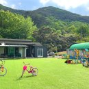 청춘 별을 쏘다 이미지