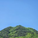 윗대이리 이미지