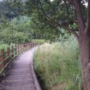 중산동 안곡고 정류장 이미지