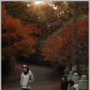 당림미술관 이미지