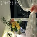 스완폴댄스 이미지