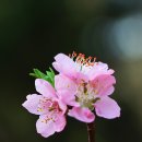 은혜머리마당 이미지