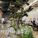 이화철물 | 배꽃 가득한 서생의 맛, '서생이화'