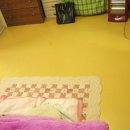 갈마초등학교 이미지