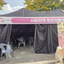 댕댕하개
