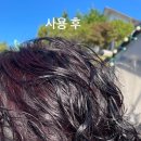메르헤어 티스토리