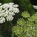 남산공원(관리사무소 옆) 이미지