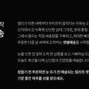 고고망고