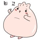 스카이비즈