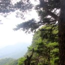 식장산 숲길 이미지