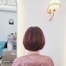 샐리헤어살롱