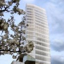 이스티빌 이미지