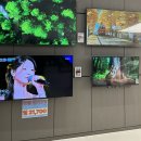 베스트대리점 | 광주 신창점 혼수 광주엘지베스트샵에서 가전상담받은 후기