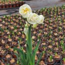 마포어르신돌봄센터 이미지