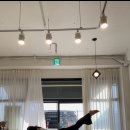 로미필라테스