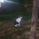 주사 암산 수리셈 B | 0820 - 0825 대학생일기 (feat, 땡큐베리머치 카페, 코로나 검사, 에타 1년정지)