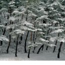 한울아구찜 이미지