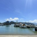 강진반점 이미지