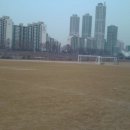 억새2축구장 이미지