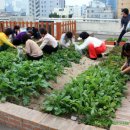 2012년 4월 18일 제이누리 기사스크랩-"수입씨앗 밥상 불안하지 않으세요?...제주토종씨앗 나눠드려요 이미지