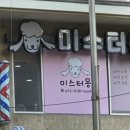 미스터 몽 이미지