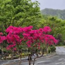 강나루 긴 언덕 이미지