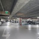 나비 게임장 이미지