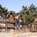 삼나무집펜션 이미지