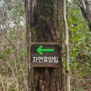 붉은오름자연휴양림2 이미지