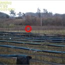 구억리-5 이미지