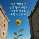 작은기쁨