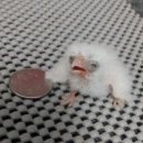 레깅스PC | 끓는물에 손을 넣어보진 않았지만 뜨거운줄은 원래 알고있었고