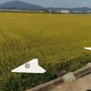 대산면913 이미지