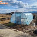 중로2류 (2) 중로1류 (5) 이미지