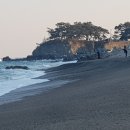 블루비치펜션 네이버블로그