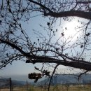 낙동대로 1739번길 이미지