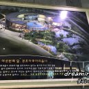 경포아쿠아리움박물관 이미지