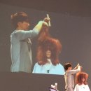 HAIR ON