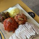 경희한방협동조합 | 영등포 맛집 영중미나리보쌈 부드러운 가브리살 보쌈 맛집 추천 솔직 후기