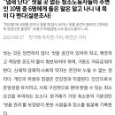 당신이 평소 냄새나는 사람을 아무렇잖게 욕한다면, 청소 노동자를 욕하는 사람을 욕하는건 모순이다. txt 이미지