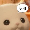 송중기아니고 나의 임신중기 생활...