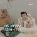 베르니프로젝트 이미지