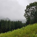 바람길목 이미지