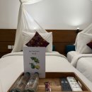 블리스50 | [발리 우붓 숙소] 사바나 블리스 호텔 내돈내산 후기 (수영장/트윈룸)