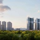남영 스포츠조선