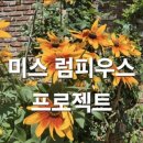 카페드씨네