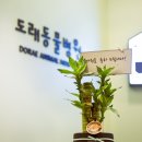 도래동물병원