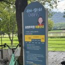 (주)울산팡 | 울산 태화동 칼국수 맛집 : 정원면가 후기