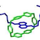 Force of Nature 이미지
