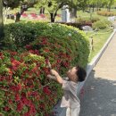 달성공원 | 대구 아이랑 가볼만한곳_달성공원 동물원 후기